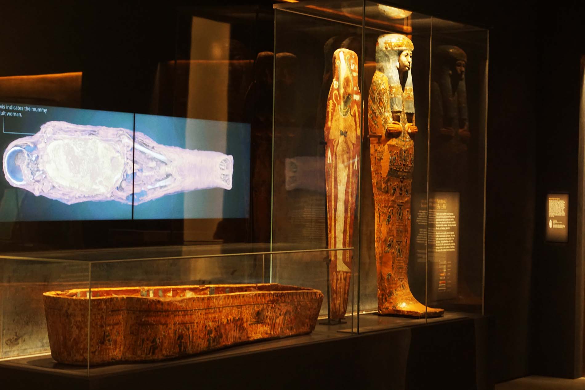 Австралия. Chau Chak Wing Museum. Egyptian artefacts